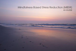 Mindfulness Based Stress Reduction online