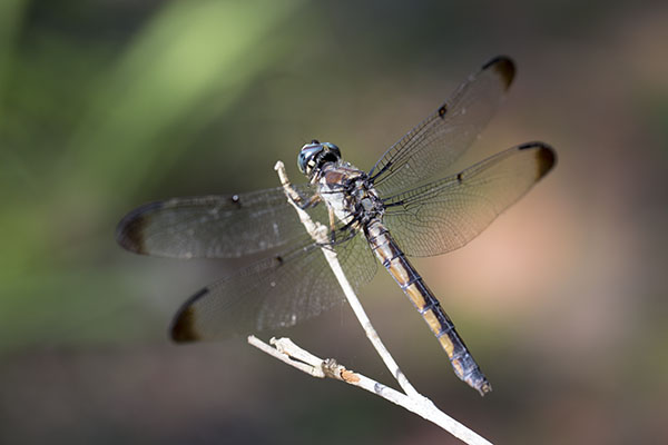 How to practice mindfulness