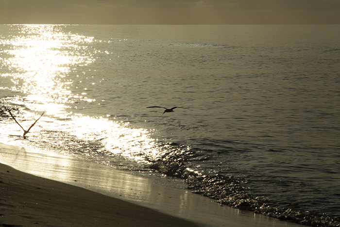 meditation for healing