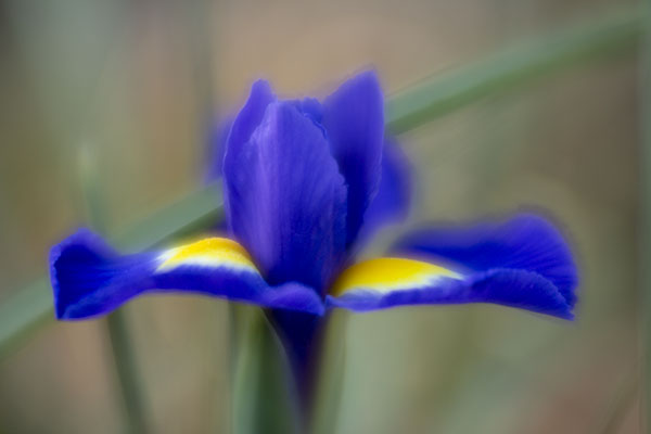 Release Creative Blocks