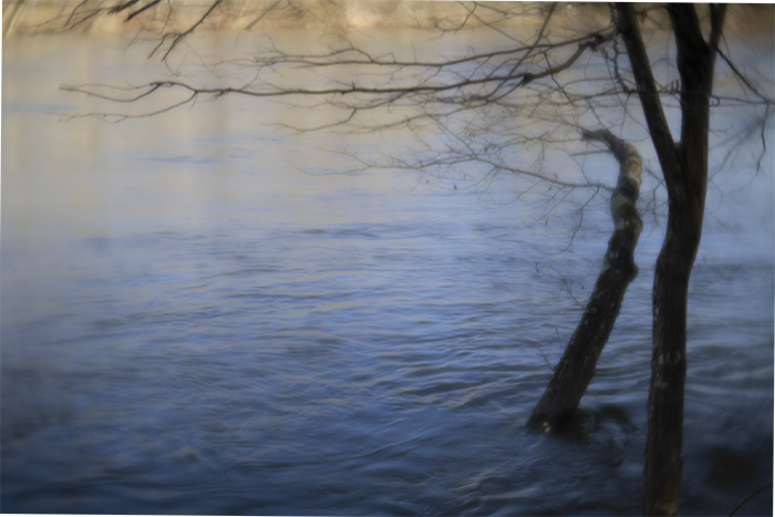 Finding Peace in a Pandemic