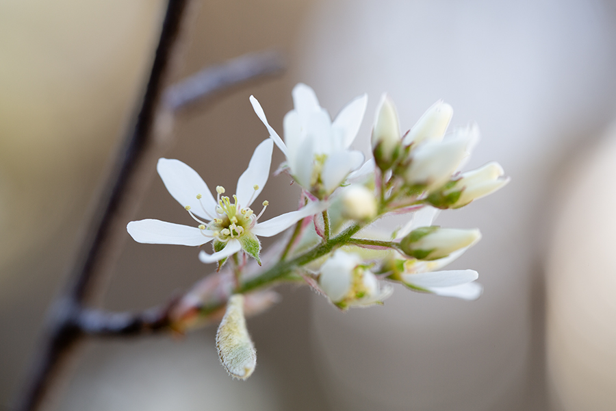 Chronic Illness - Jen Johnson